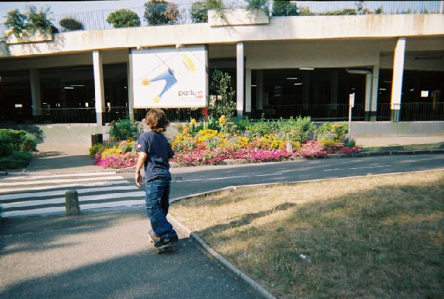 Photograph